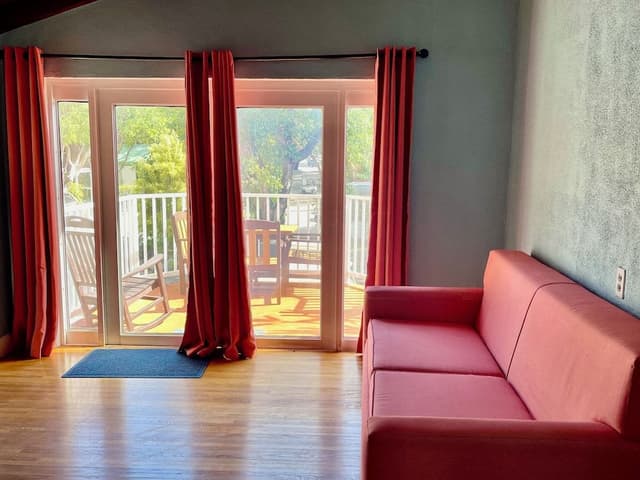 Suite, 1 King Bed with Sofa bed