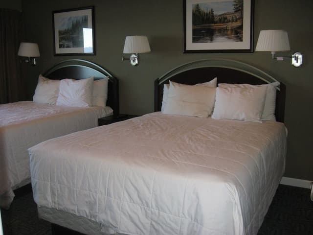 Suite, 1 Bedroom, Kitchen, Pool View