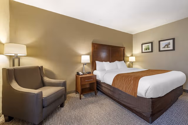 Room, 1 King Bed, Non Smoking (Wet Bar)