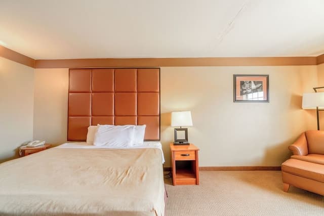 Room, 1 King Bed, Non Smoking