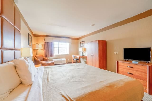 Room, 1 King Bed, Non Smoking
