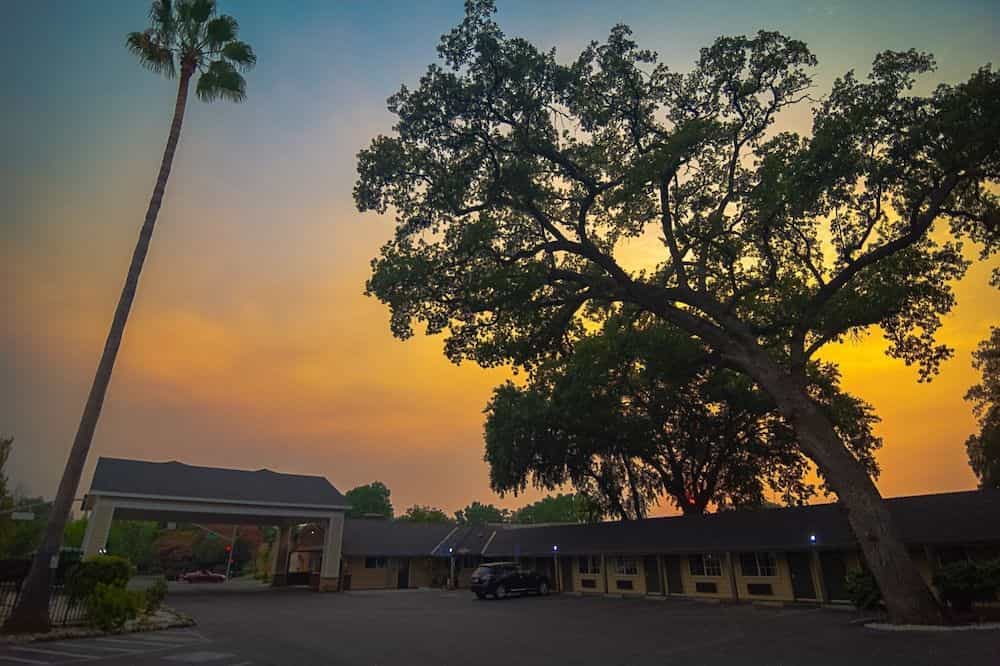 Safari Inn