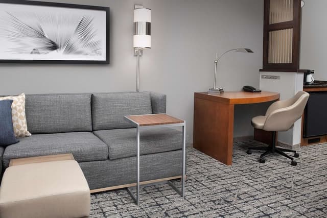 Room, 1 King Bed, Accessible (with bathtub and sofa bed)