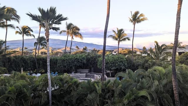 House, 1 King Bed with Sofa bed, Partial Ocean View (Vista Waikoloa B302)