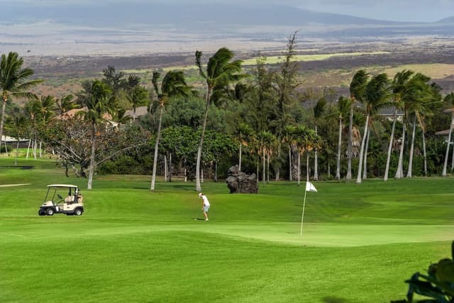 Villa, 1 King Bed (Vista Waikoloa G204)