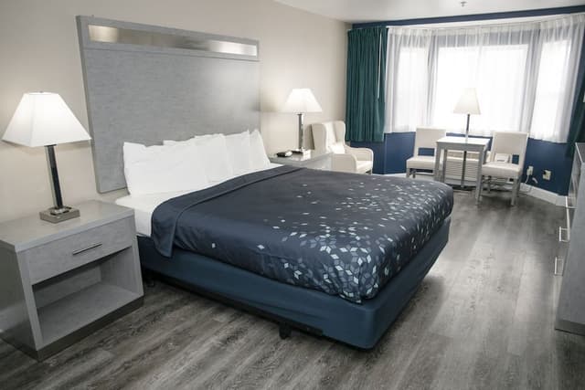 Standard Room, 1 King Bed, Ocean View