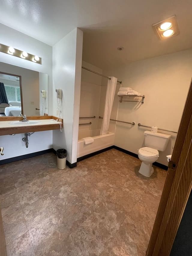 Standard Room, 1 King Bed, Accessible, Refrigerator & Microwave