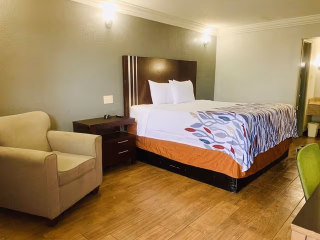 Room, 1 King Bed