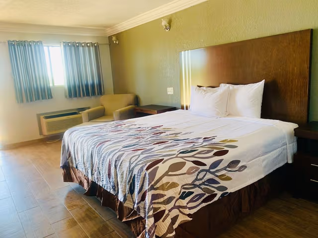 Room, 1 King Bed