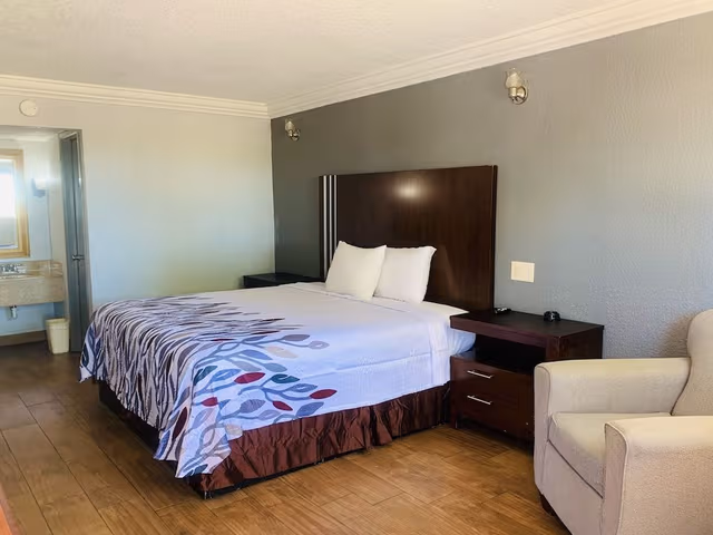 Room, 1 King Bed, Smoking
