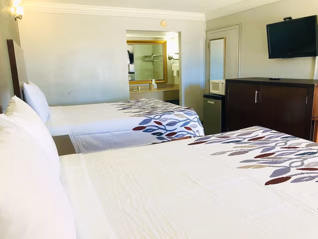 Room, 1 King Bed