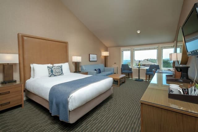 Deluxe Room, 1 Queen Bed with Sofa bed