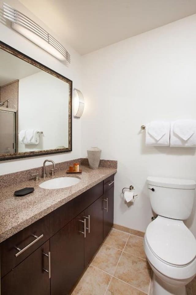 Luxury Condo, 1 King Bed with Sofa bed