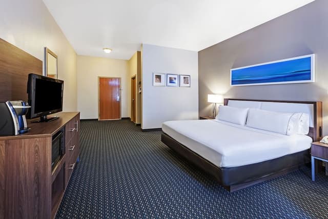 Suite, 1 Bedroom (1 King, Sofa Bed)