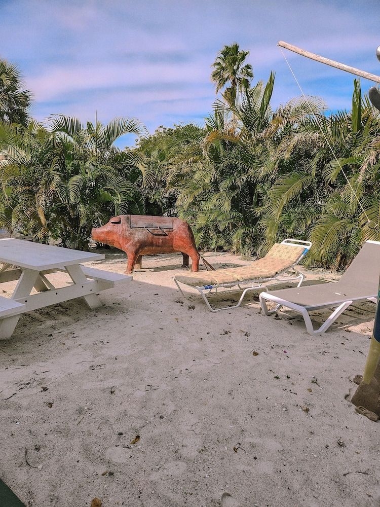 OASIS PALMS RESORT1