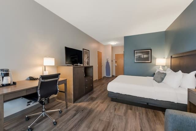 Standard Room, 1 King Bed, Non Smoking, Refrigerator (with Sofabed)