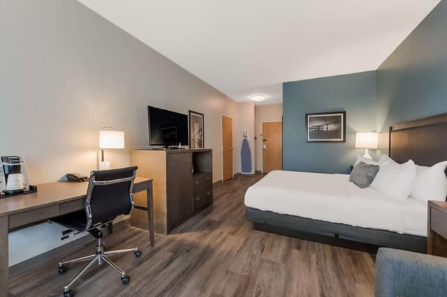 Accessible - 1 King,Mobility Accessible,Roll In Shower,Non-Smoking