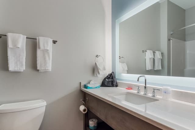 Standard Room, 1 King Bed, Non Smoking, Refrigerator (with Sofabed)