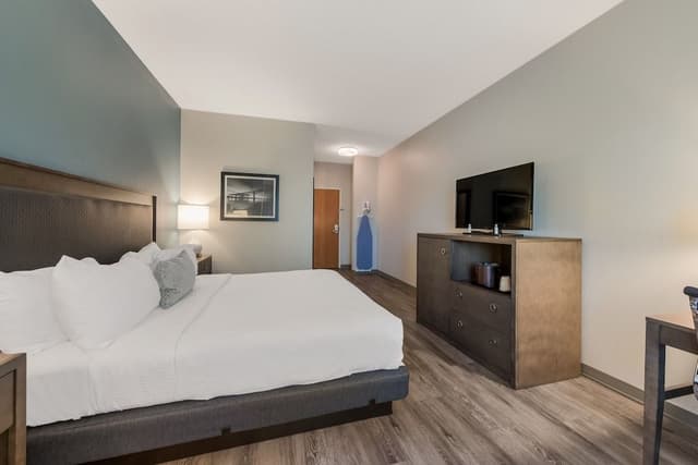 Standard Room, 1 King Bed, Non Smoking, Refrigerator (with Sofabed)