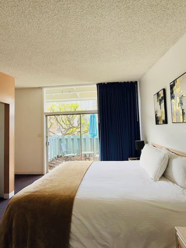 Economy Room, 1 King Bed, Patio, Garden View