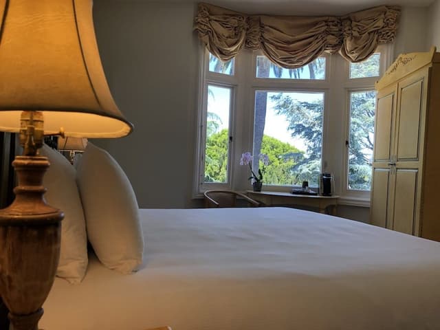 King with Park View 204