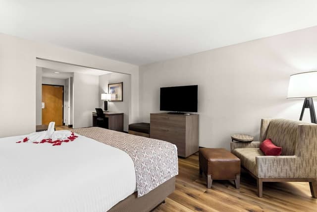 Suite, 1 King Bed, Non Smoking, Refrigerator & Microwave (with Sofabed)