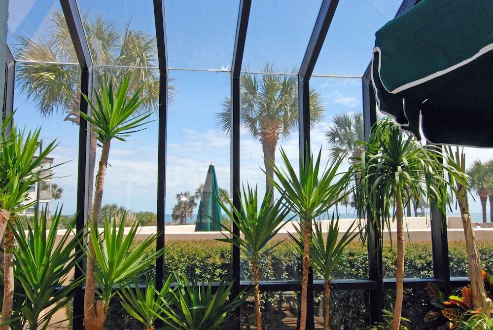 Ocean Forest Plaza by Palmetto Vacation Rental3