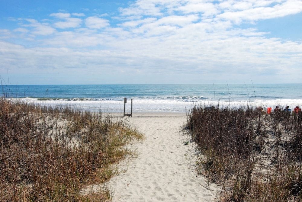 Ocean Forest Plaza by Palmetto Vacation Rental2
