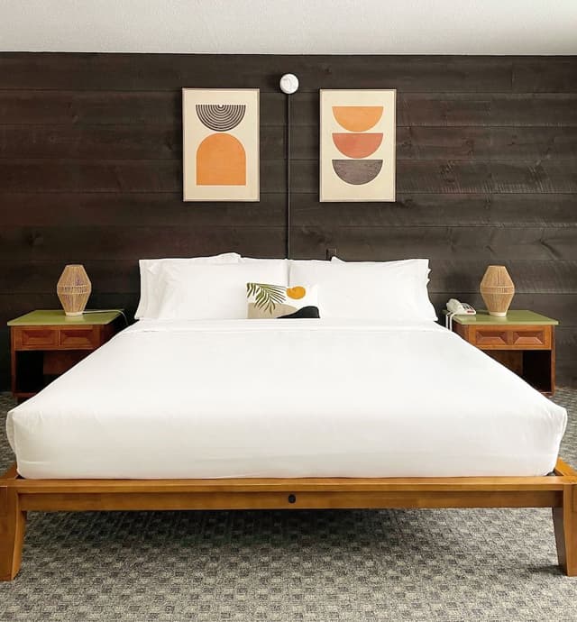 Room, 1 King Bed