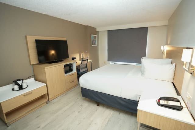 Room, 1 King Bed, Non Smoking (Mobility Accessible)