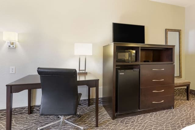 Standard Room, 1 King Bed, Non Smoking, Refrigerator (with Sofabed)