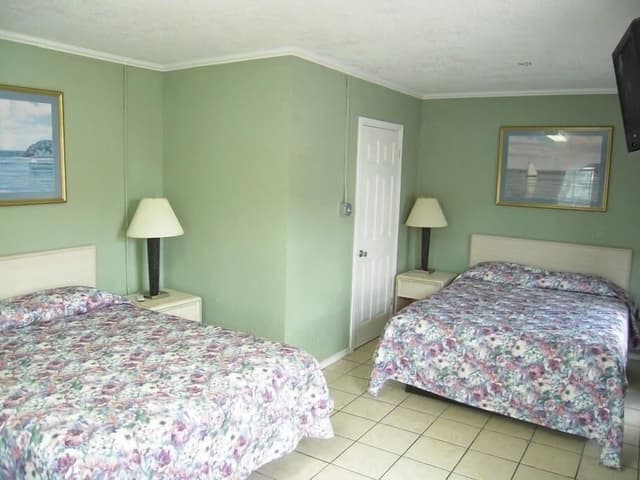 Basic Double Room