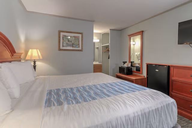 Room, 1 King Bed