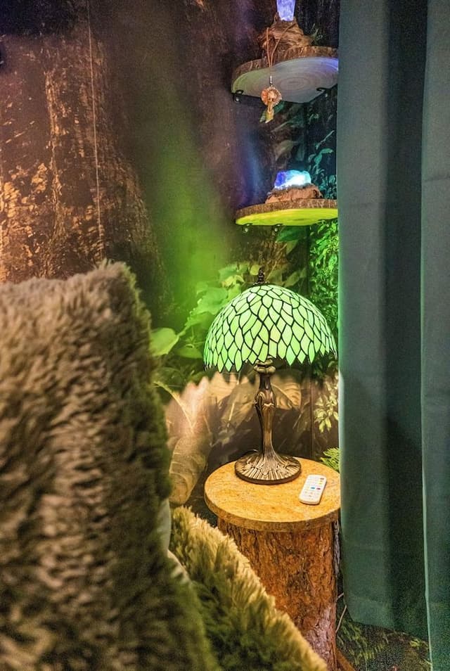 Enchanted Forest
