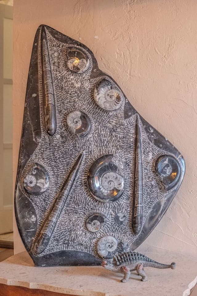 Dino