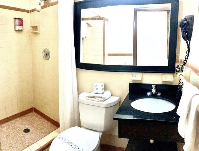 Single Room, 1 King Bed, Non Smoking