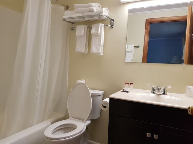 Basic Room, River View