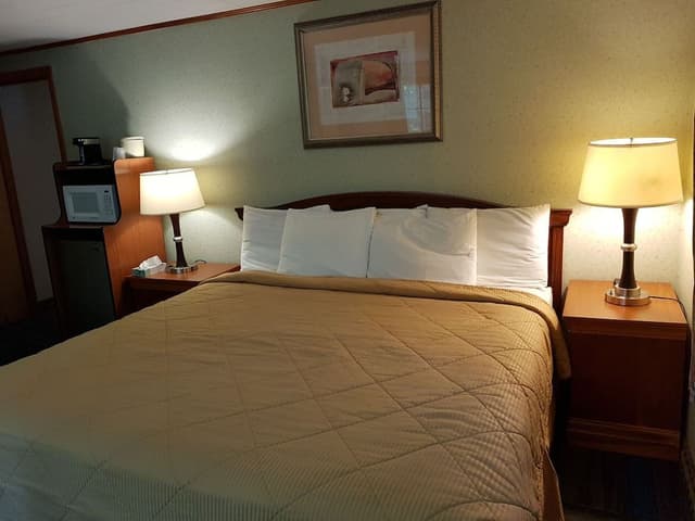 Basic Room