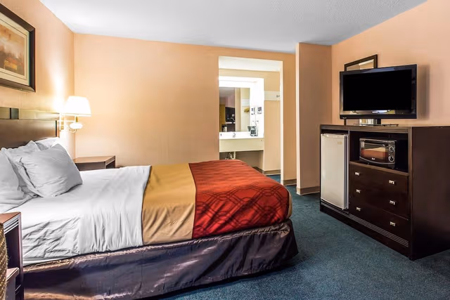 Standard Room, 1 King Bed, Non Smoking