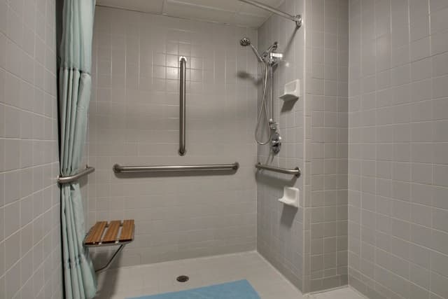 Superior King Bed with Roll-In Shower ( Ground Level)