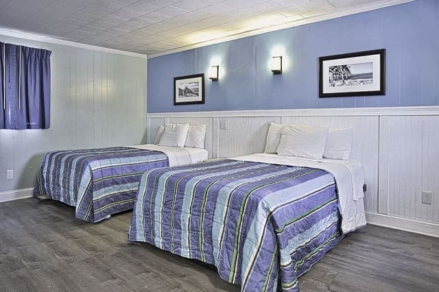 Exclusive Double Room, Kitchen