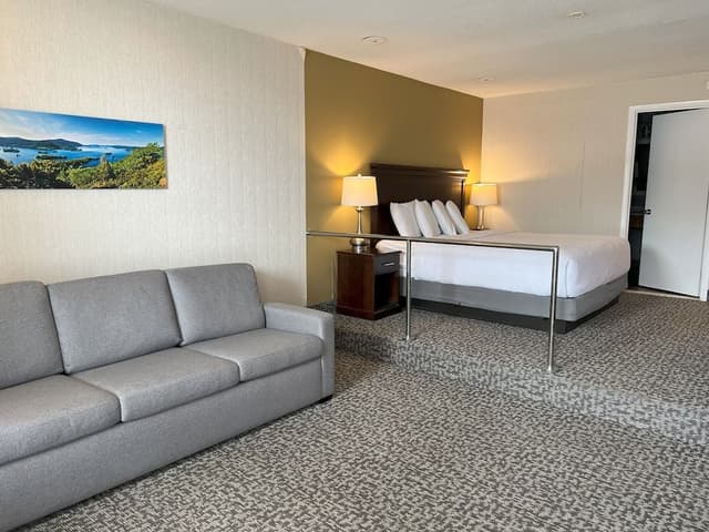 Lakefront Room 1 King Bed