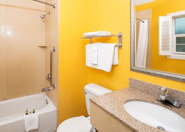 Standard Room, 1 King Bed (Pet friendly)