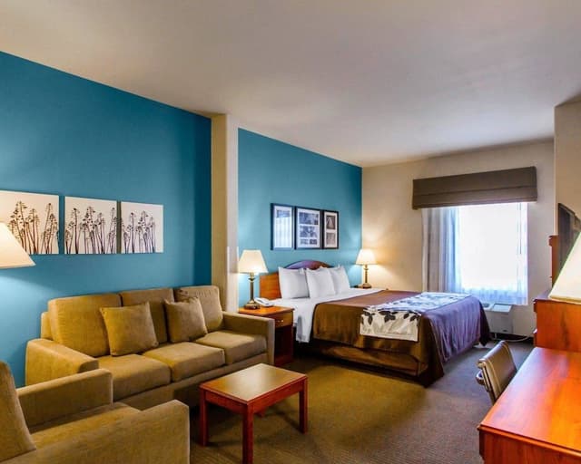 Suite, 1 King Bed with Sofa bed, Accessible, Non Smoking