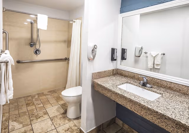 Standard Single Room, 1 King Bed, Accessible, Private Bathroom