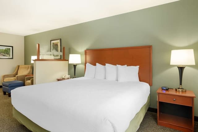 Standard Room, 1 King Bed, Non Smoking, Refrigerator & Microwave