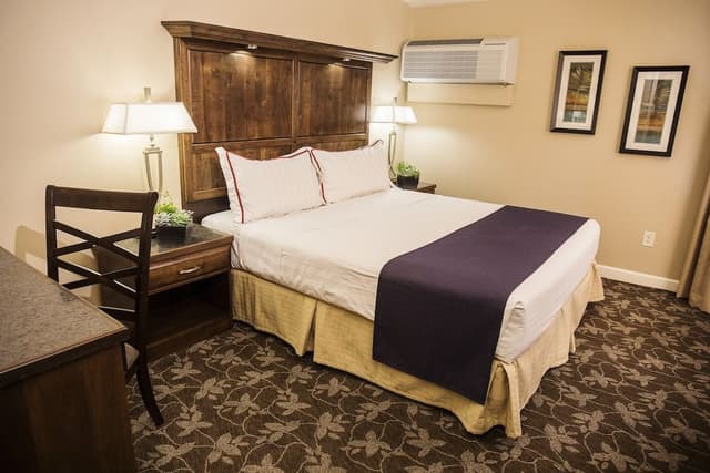 Suite 1 King with Sofabed Lakewood