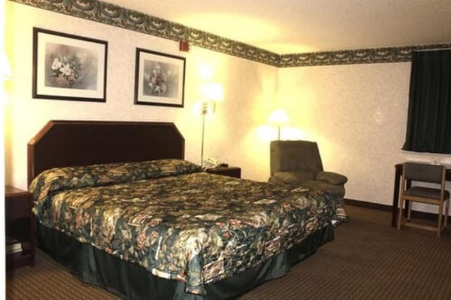 Basic Single Room