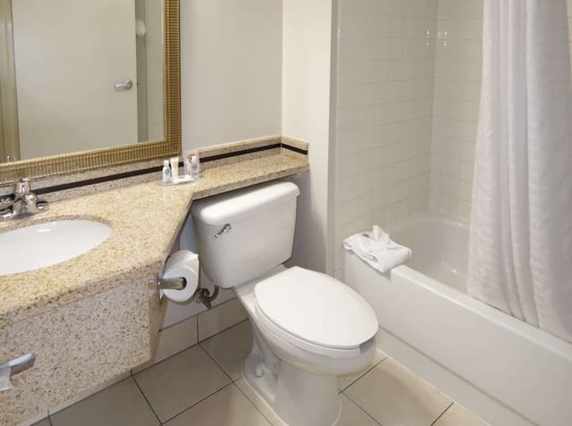 Suite, 1 King Bed, Non Smoking