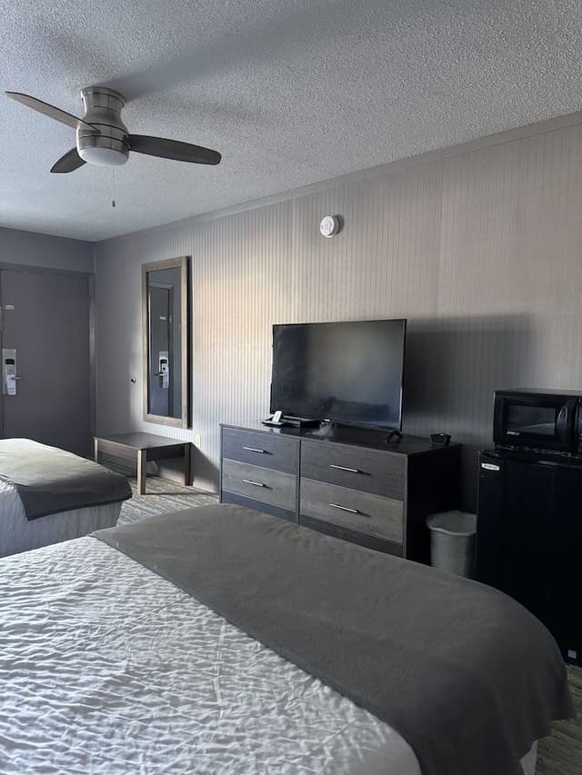 Standard Double Room, 2 Double Beds, 1 Double Sofa Bed